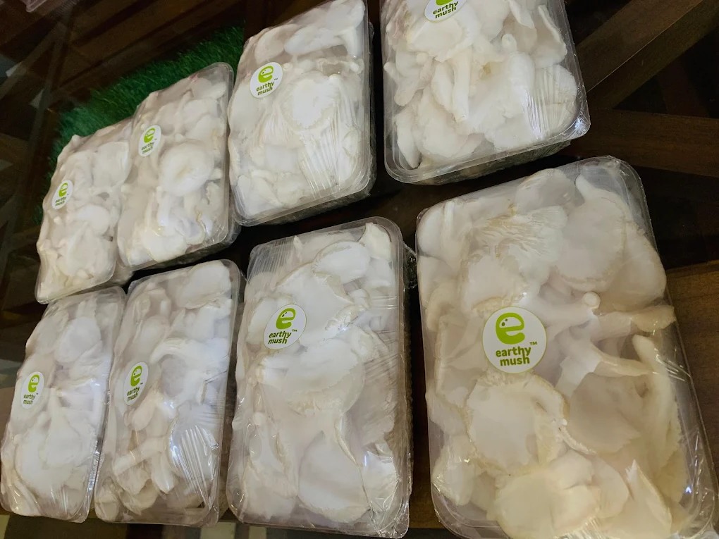 Our Product