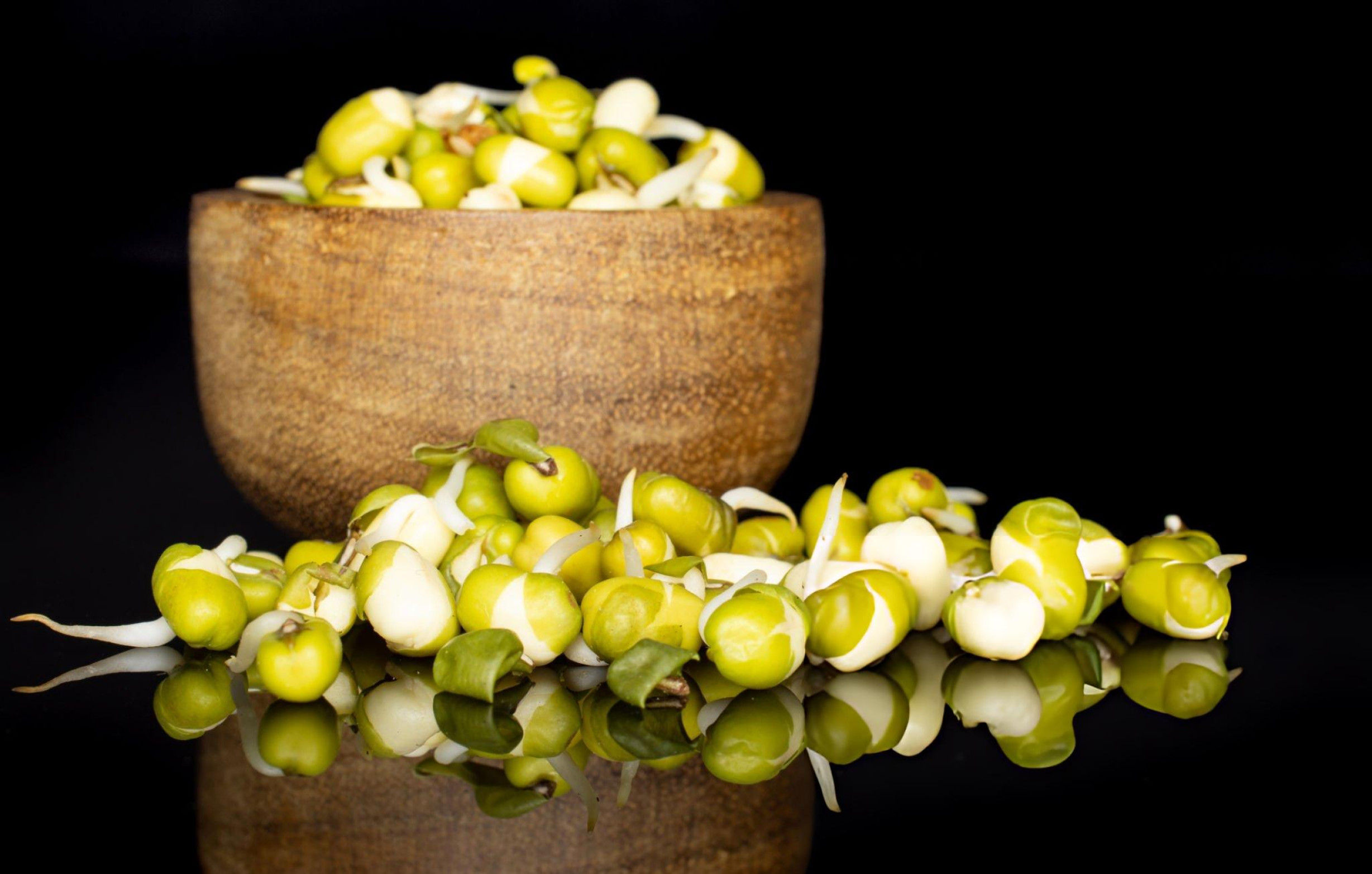 NutriSprout Green Gram Sprouts Kerala